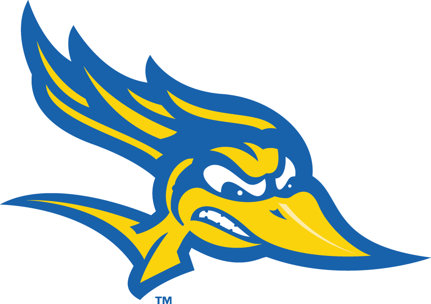 CSU Bakersfield Roadrunners 2006-Pres Alternate Logo v3 iron on transfers for T-shirts
